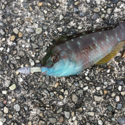 ライトゲームで4目